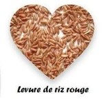 EQUILIBRE DU CHOLESTEROL ET DE LA TENSION